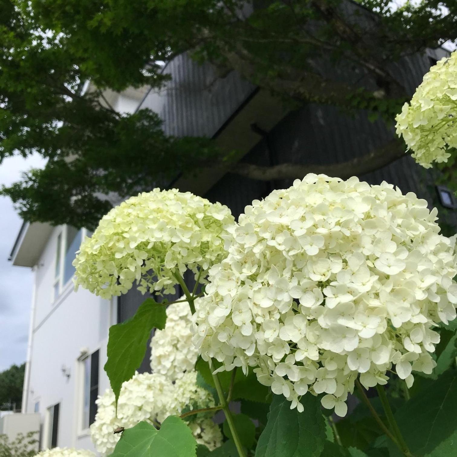 Sweet Villa Takasama - Vacation Stay 11775 Fujiyoshida Dış mekan fotoğraf